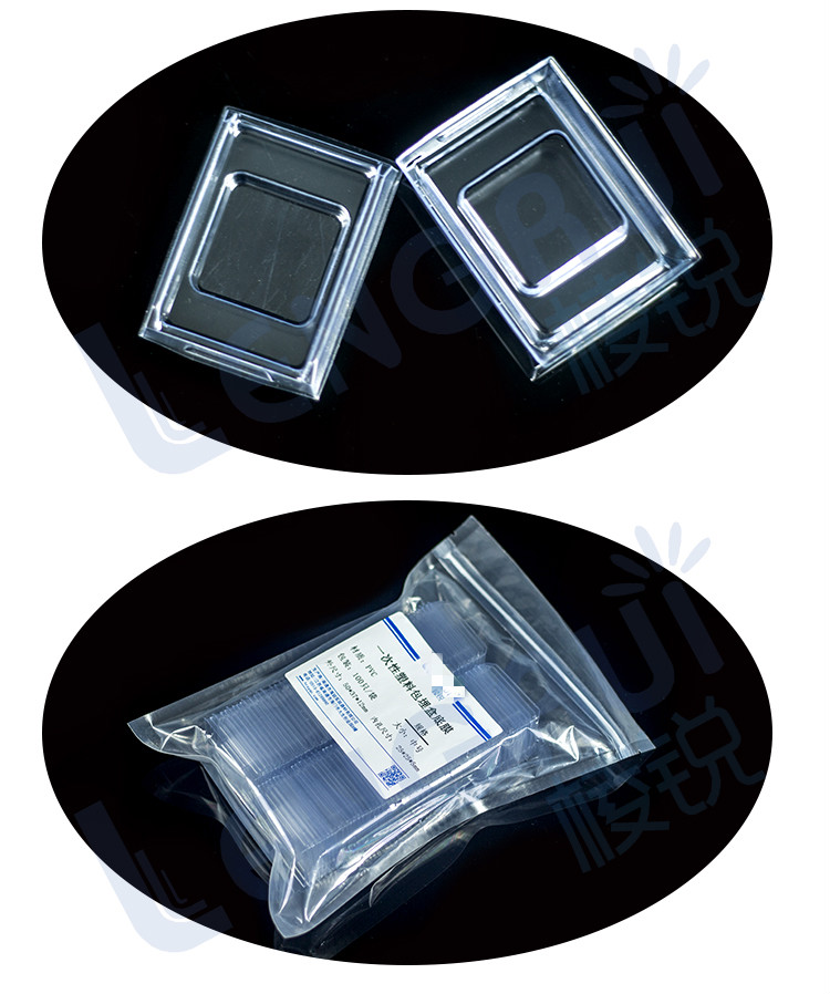 冰冻切片包埋模具/oct包埋盒一次性底模石蜡切片包埋底膜模具温妤 7*7