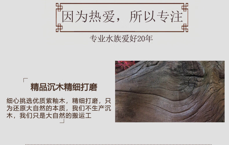 fedc3d6519553ee5.jpg