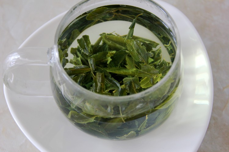 文冠果叶文冠果茶嫩芽叶新茶文冠茶野生文冠果茶叶【图片 价格 品牌