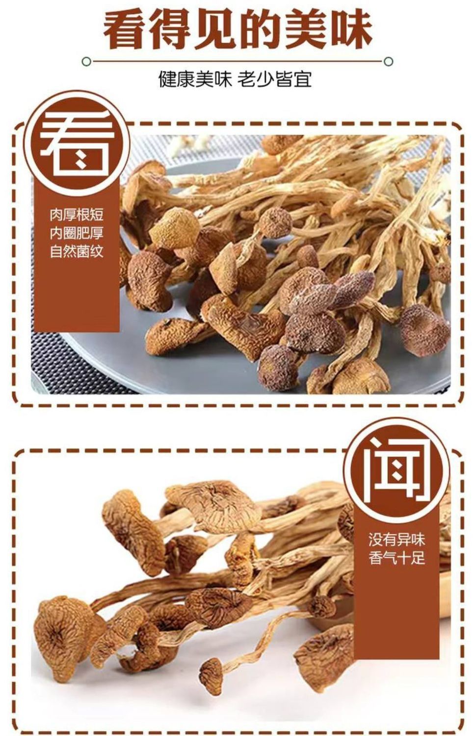 茶树菇的功效与作用图片