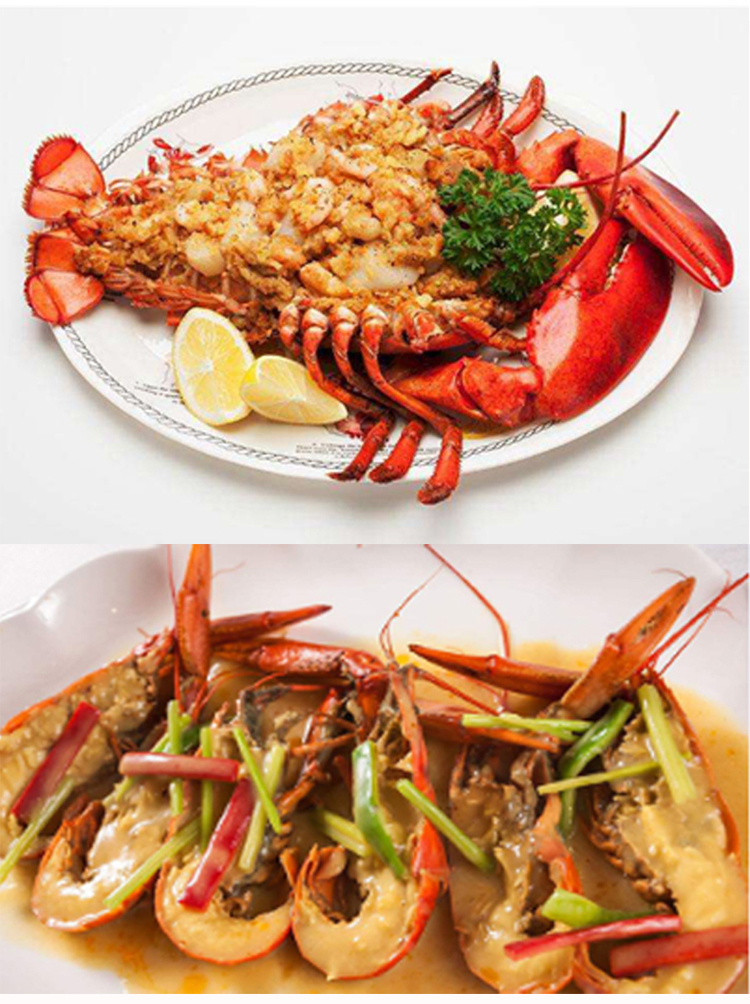 波士顿龙虾鲜活海鲜水产大龙虾波士顿龙虾19斤2斤3只