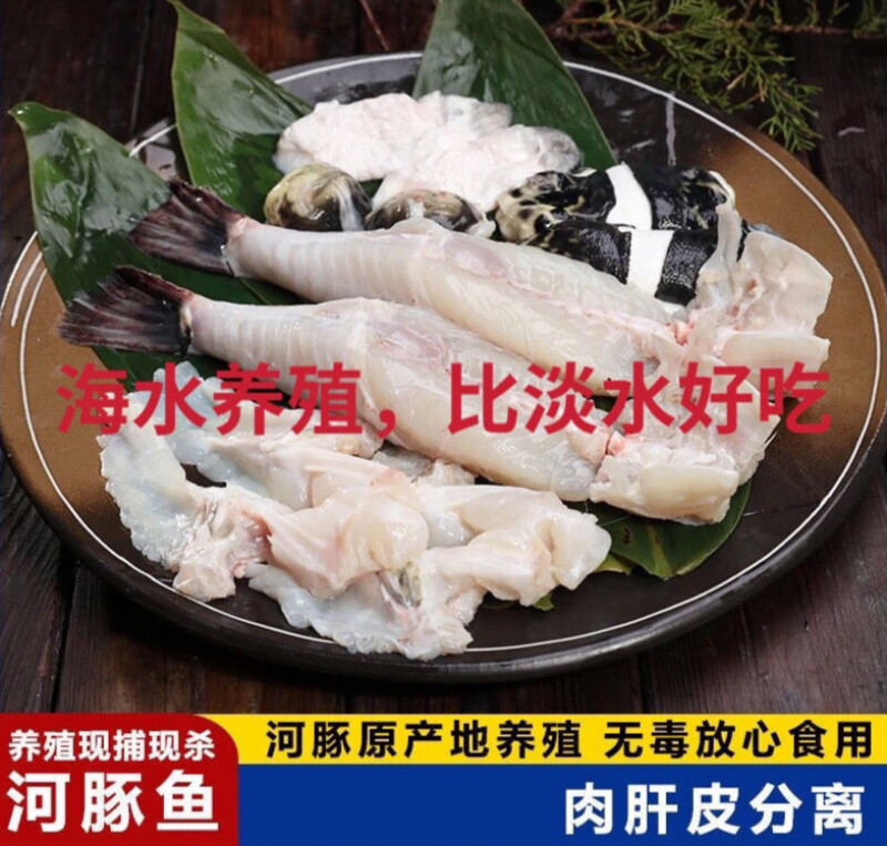 大号河豚鱼可食用已处理新肉带肝皮安全极鲜淡水鱼1斤2条装橘黄品种更