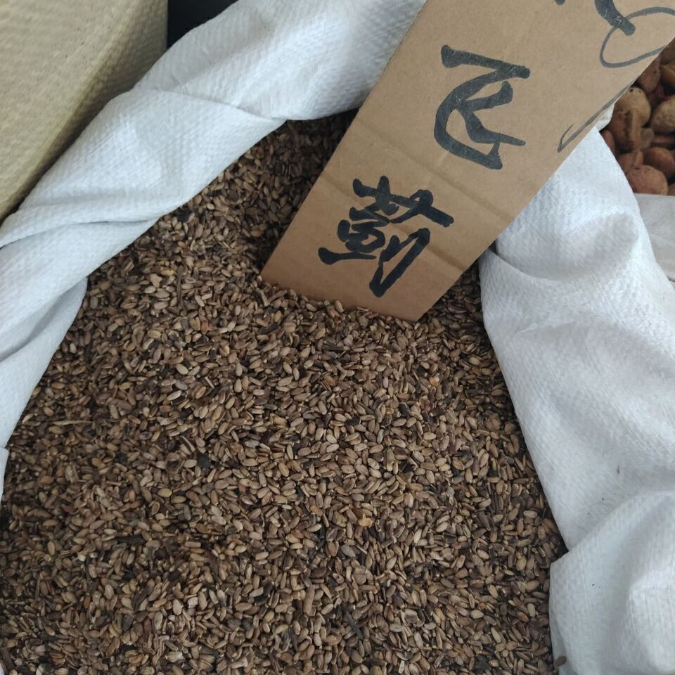 新货水飞蓟籽水飞蓟奶蓟种子水飞蓟250g500g1000g水飞蓟籽250g