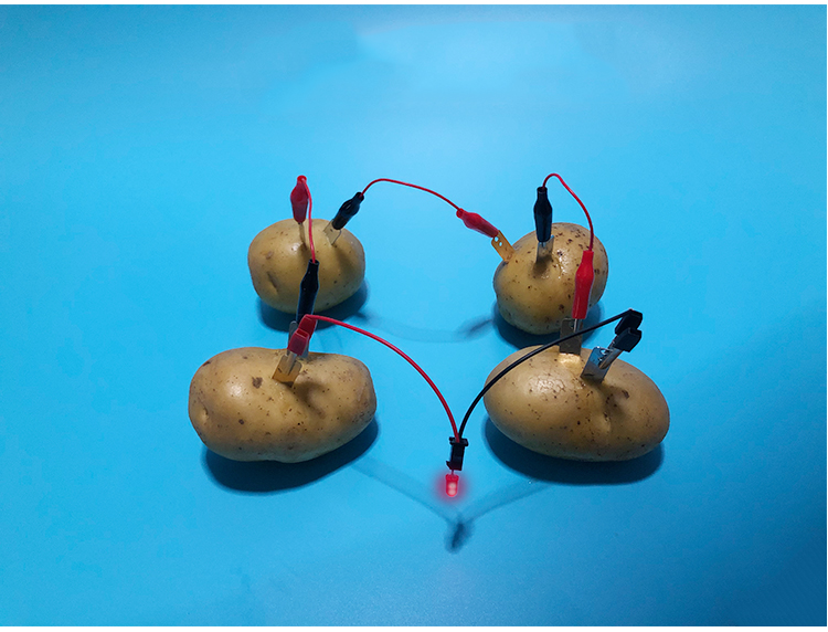 亚信diy可乐土豆柠檬水果电池发电时钟科学小实验材料器材幼儿园小学