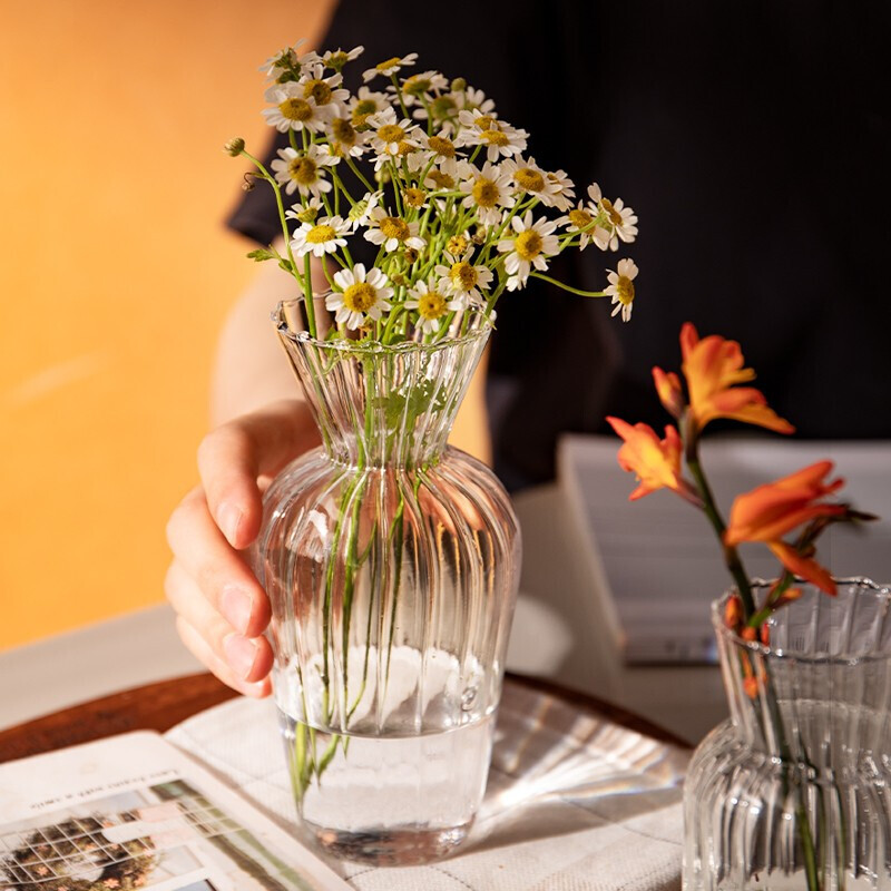 韩式玻璃小花瓶透明水养风简约客厅桌面迷你插花摆件装饰直身高款