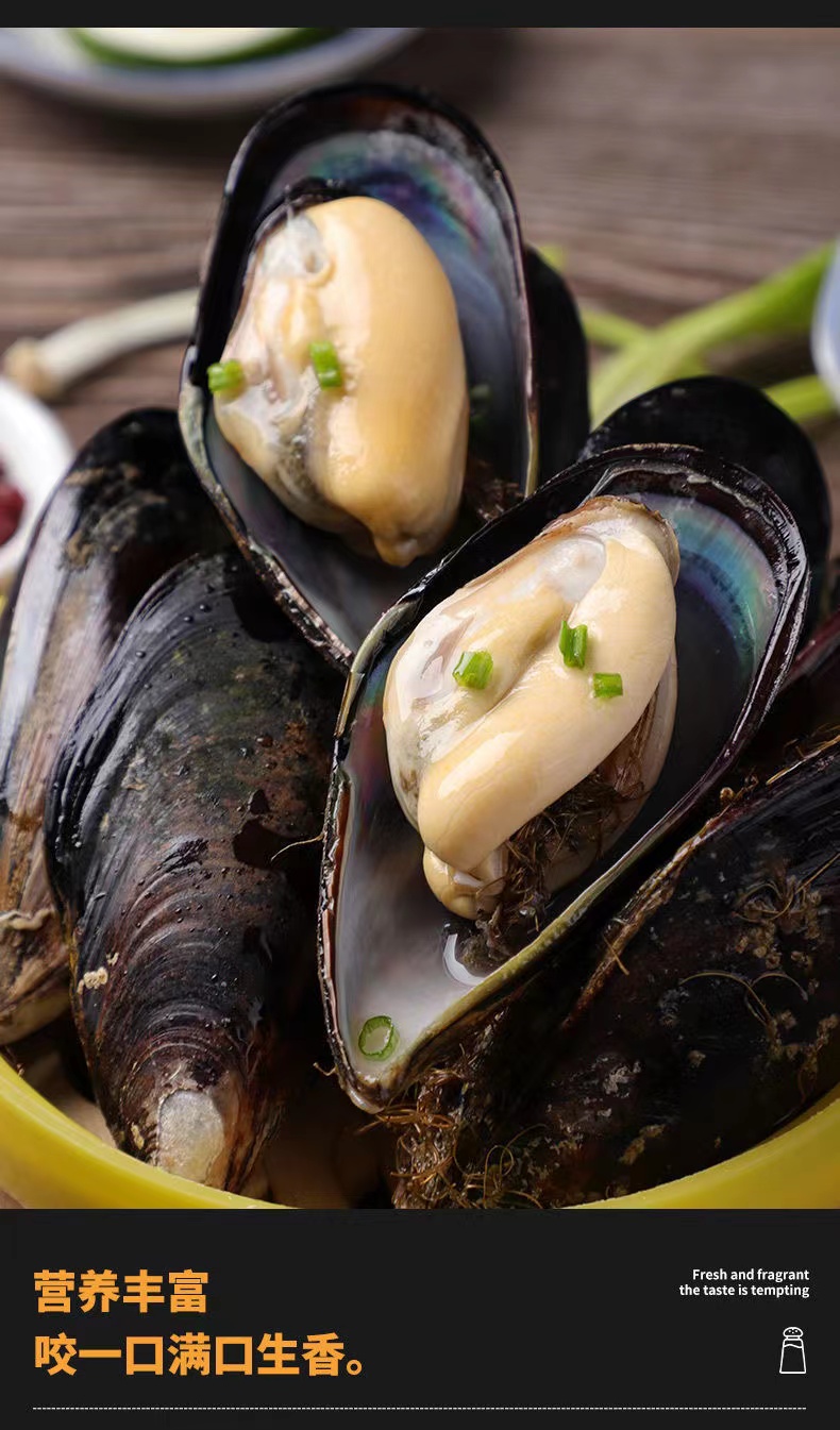 赶鱼夫 鲜活特大青口贝 新鲜大海虹淡菜贻贝 贝类水产 鲜活发货【净重