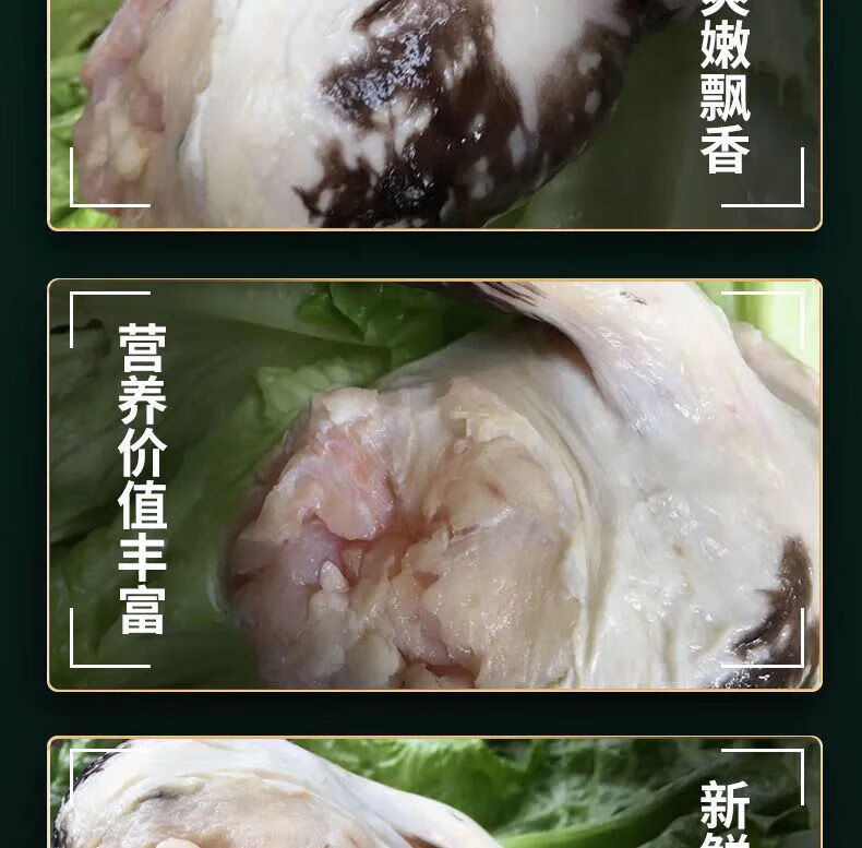 新鲜鳄鱼鞭整条现杀鳄鱼鞭人工养殖鳄鱼鞭新鲜肉类2条装鳄鱼鞭