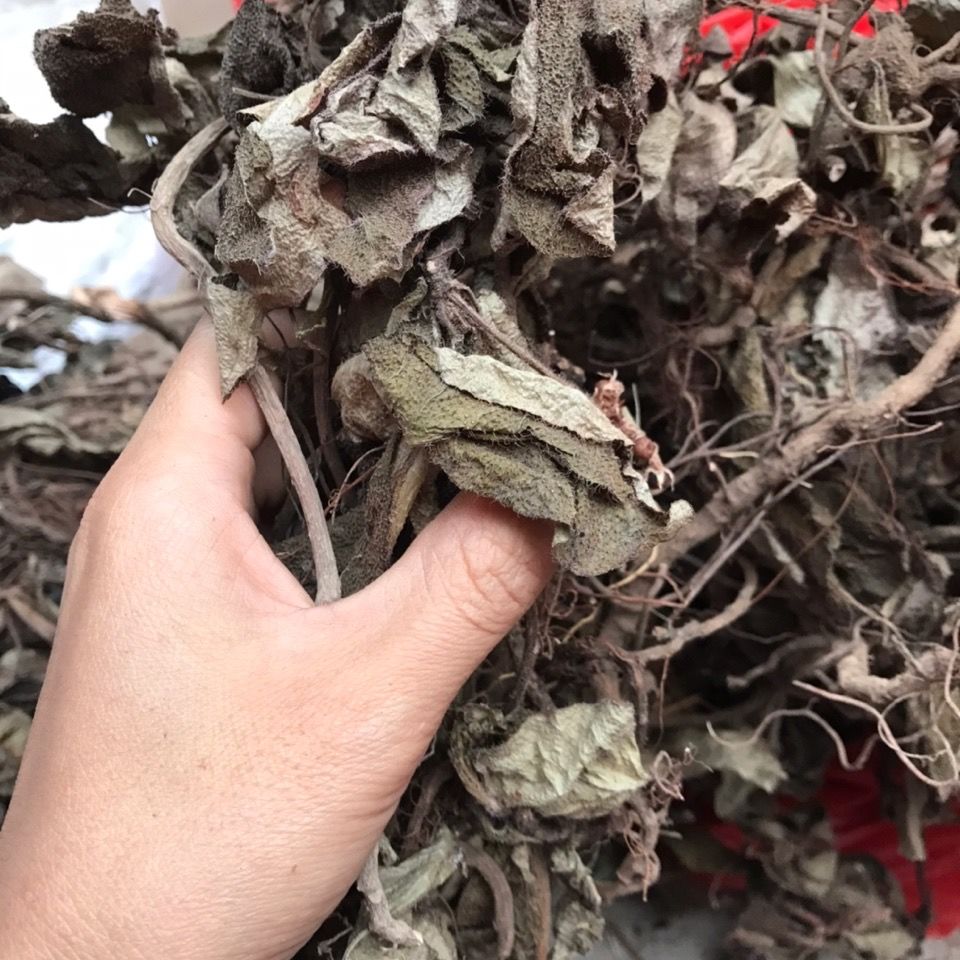 中草药虎舌红,天仙红农,红地毯,红毛毡老虎舌一斤 500g【图片 价格