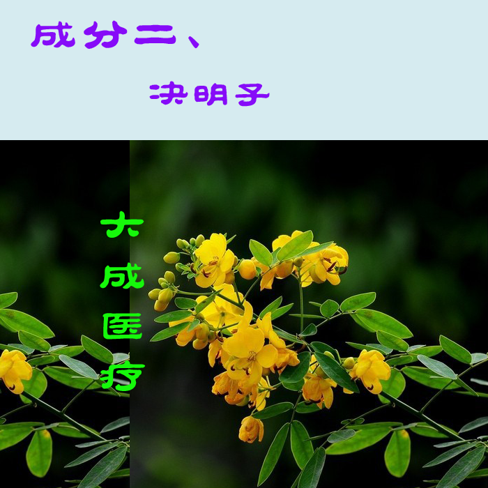 北京同仁堂 原料瑶寨三清茶桂林袋泡代用茶买1送1小盒广西瑶族新常