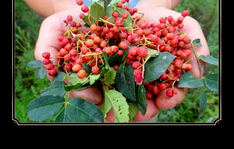 思秦韩城大红袍花椒250g特麻特香陕西特产花椒粒四川红花椒500g