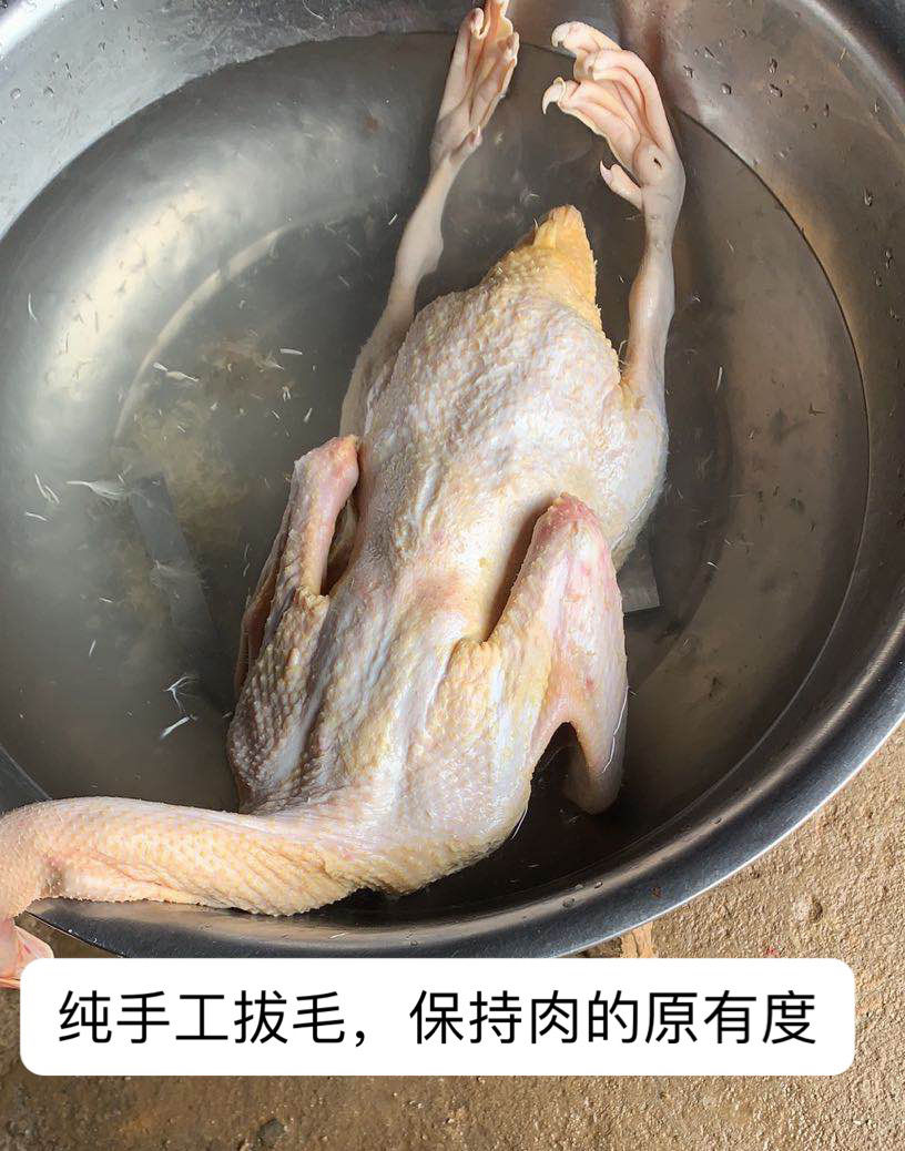 番鸭活体现杀正宗番鸭鸭子活体现杀大番鸭红脸鸭年货批发公鸭活体重10