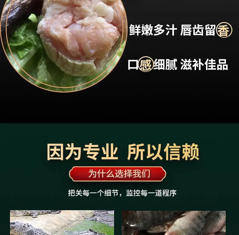 新鲜鳄鱼鞭整条现杀鳄鱼鞭人工养殖鳄鱼鞭新鲜肉类2条装鳄鱼鞭