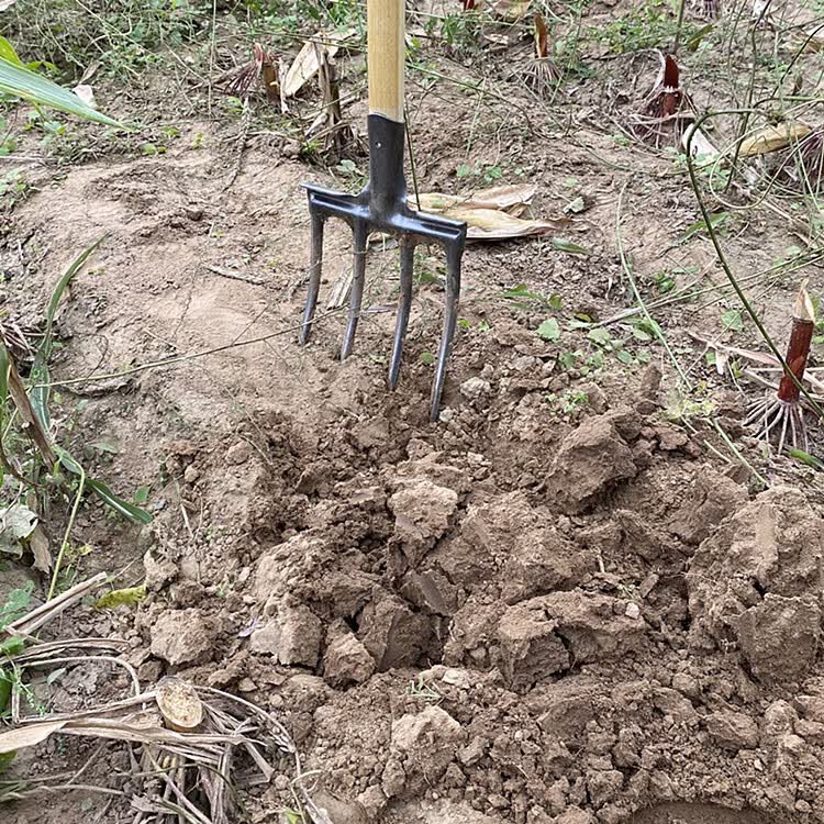 农业工具翻地松土神器开荒挖土姜蒜葱花生叉挖粪种菜钢叉农用工具四齿