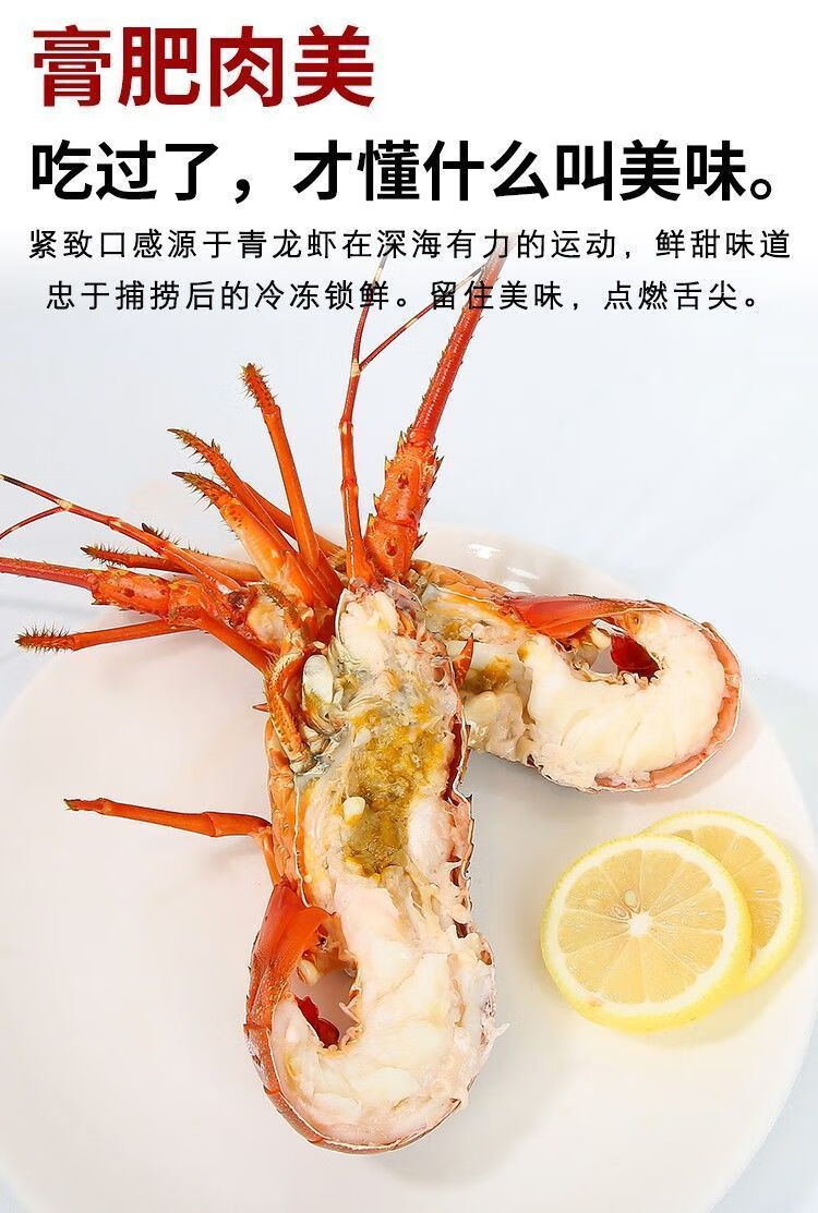 大龙虾小青龙虾鲜活速冻海鲜花龙虾新鲜活冻小青龙澳龙虾广东省内地址