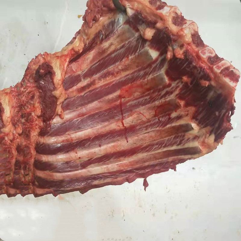 新鲜驴架子带肉驴骨带肉驴架带肉排骨大棒骨整套驴架驴骨头 (京东生鲜