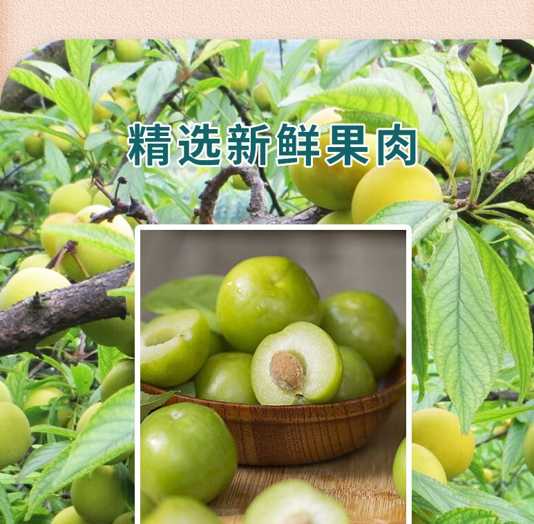 动心一族加嘉应子果脯休闲零食散装加应子买100g100g实发200g散装