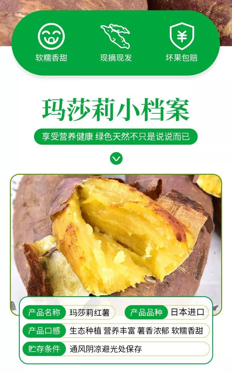 玛莎莉红薯品种简介图片