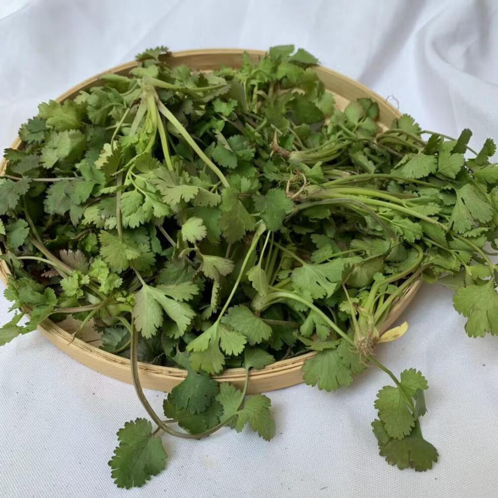 冠季香菜新鲜蔬菜4斤和河南芫荽农家矮脚土香菜霜冻香菜红根香菜500g