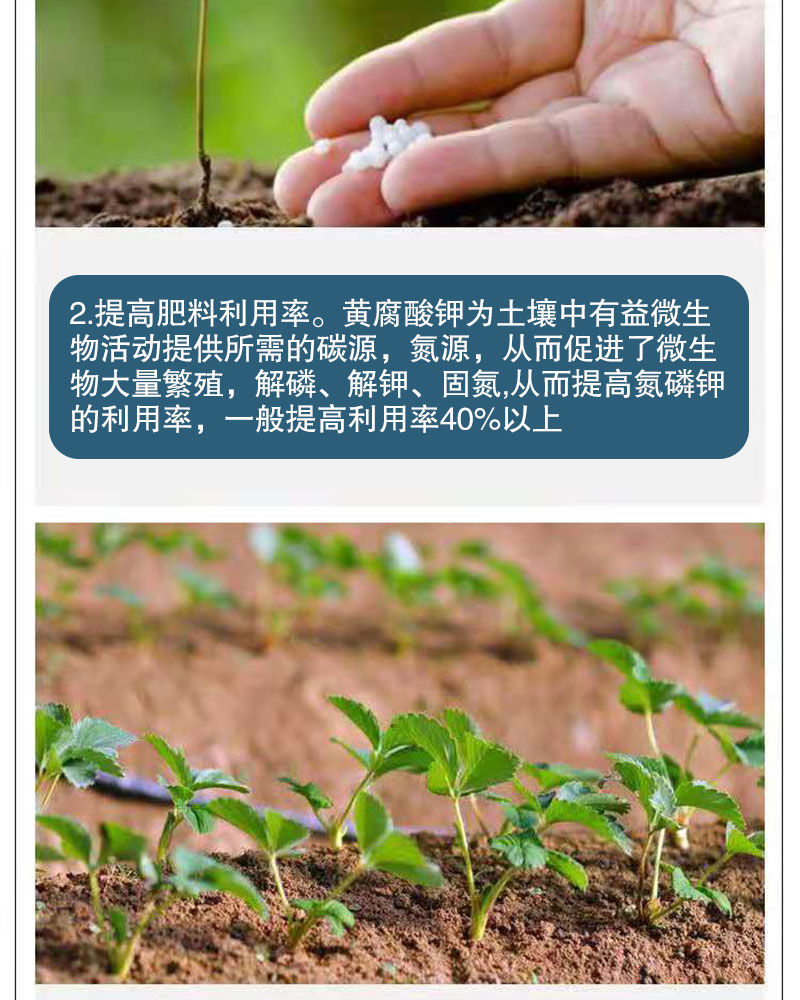 腐酸钾50腐殖酸水溶肥土壤调理生根剂果蔬农用冲施肥1000g袋3复合菌种