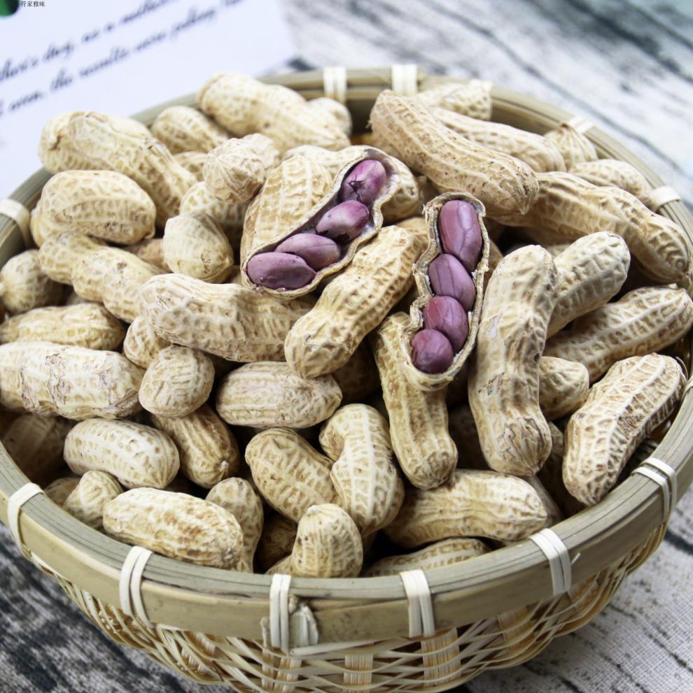 龙岩湿烤紫衣花生福建闽西特产2021年多籽五香硬脆3斤5斤 紫衣湿烤