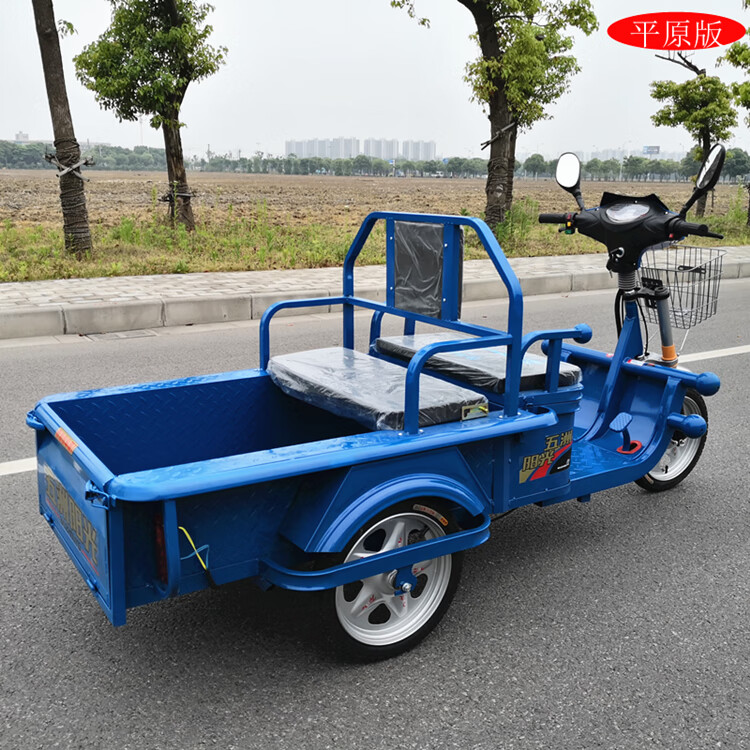 电动三轮车货车新款家用电瓶三轮车成人代步车载重小货运平板车平原版