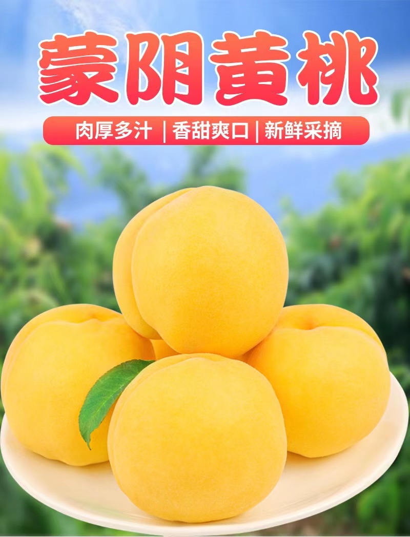 山东包装形式:简装特产品类:蒙阴黄桃类别:桃品种:黄桃货号:cjxxmmx3