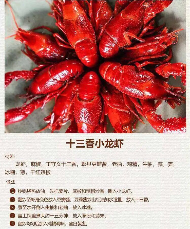 小龙虾品种大全图解图片