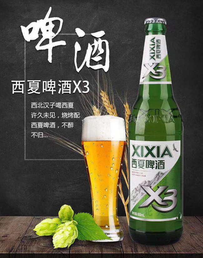 西夏x9 xixia 西夏x9醇麦啤酒 465ml 宁夏特产 拉格 黄啤 24瓶 依云