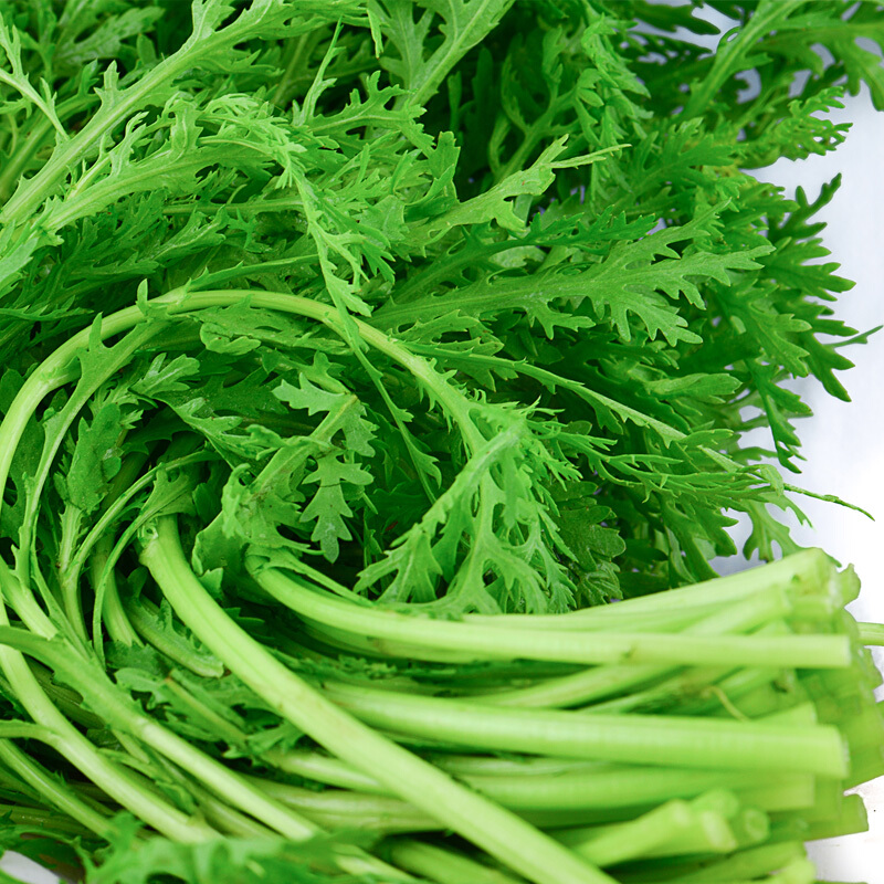 茼蒿新鲜蔬菜500g火锅食材