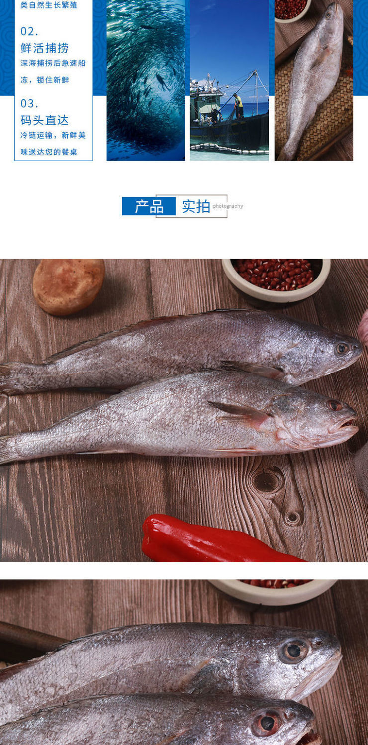 新鮮海捕米魚敏魚大鮸魚冰凍鰵魚深海海鮮鮮活水產整箱5斤7條貴一點肉