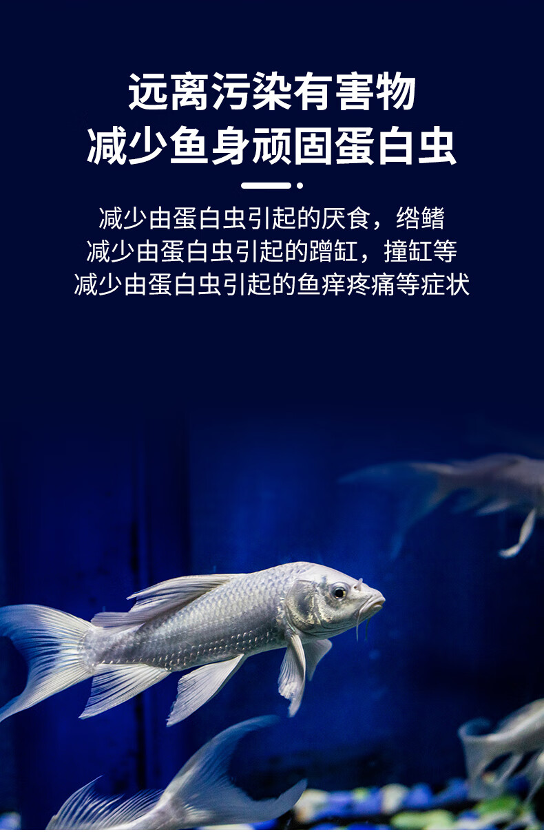 魚缸殺蟲藥蛋白蟲清除劑剋星魚缸除蛋白蟲殺蟲藥錦鯉金魚觀賞魚專用