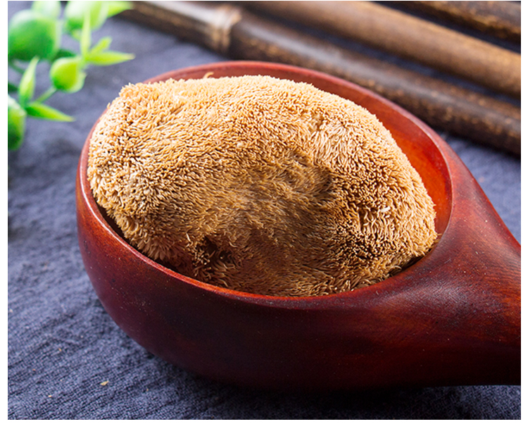 北京同仁堂猴头菇100g克中药材新货晒干煲汤猴头蘑刺猬菌猴菇【图片