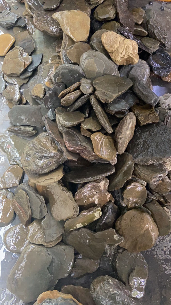 片岩原生溪流缸造景乌龟晒台虾虎三湖躲避爆藻开缸石冷水鱼溪流石中