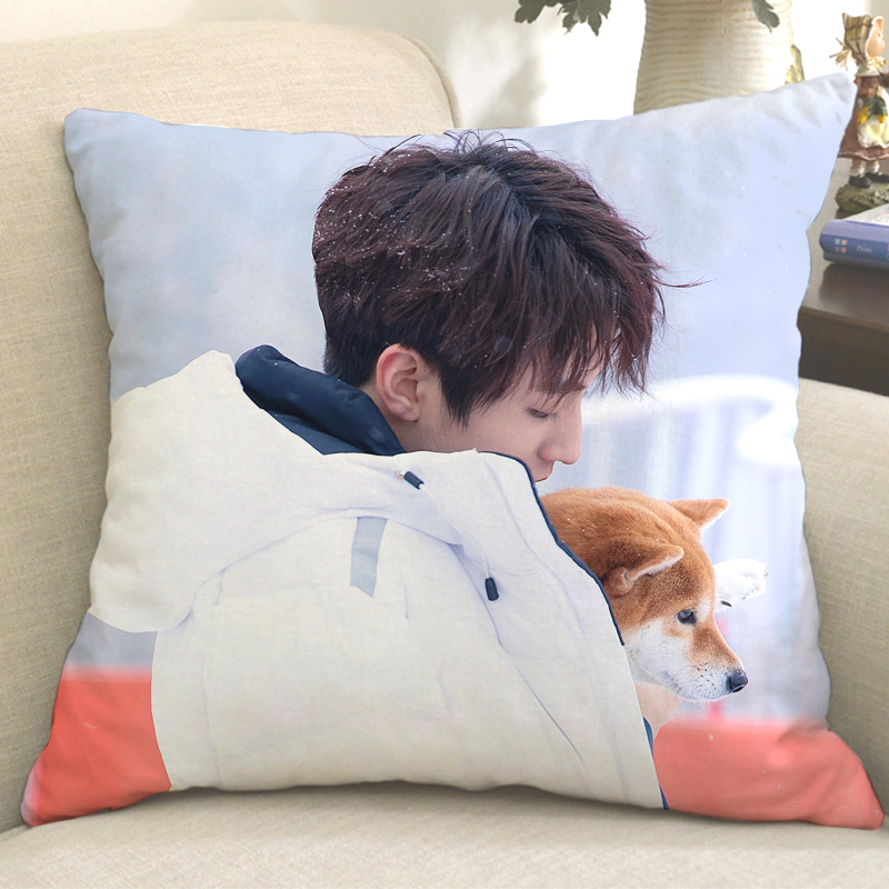 王俊凯抱枕tfs王俊凯周边三字弟弟定制抱枕电竞男主海报玩偶生日礼物6