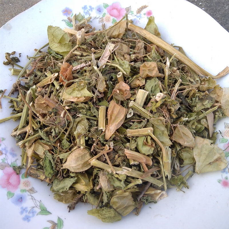 农家采摘 灯笼草 泡泡草 500克1斤中药材灯笼草 新鲜干货上市 灯笼草