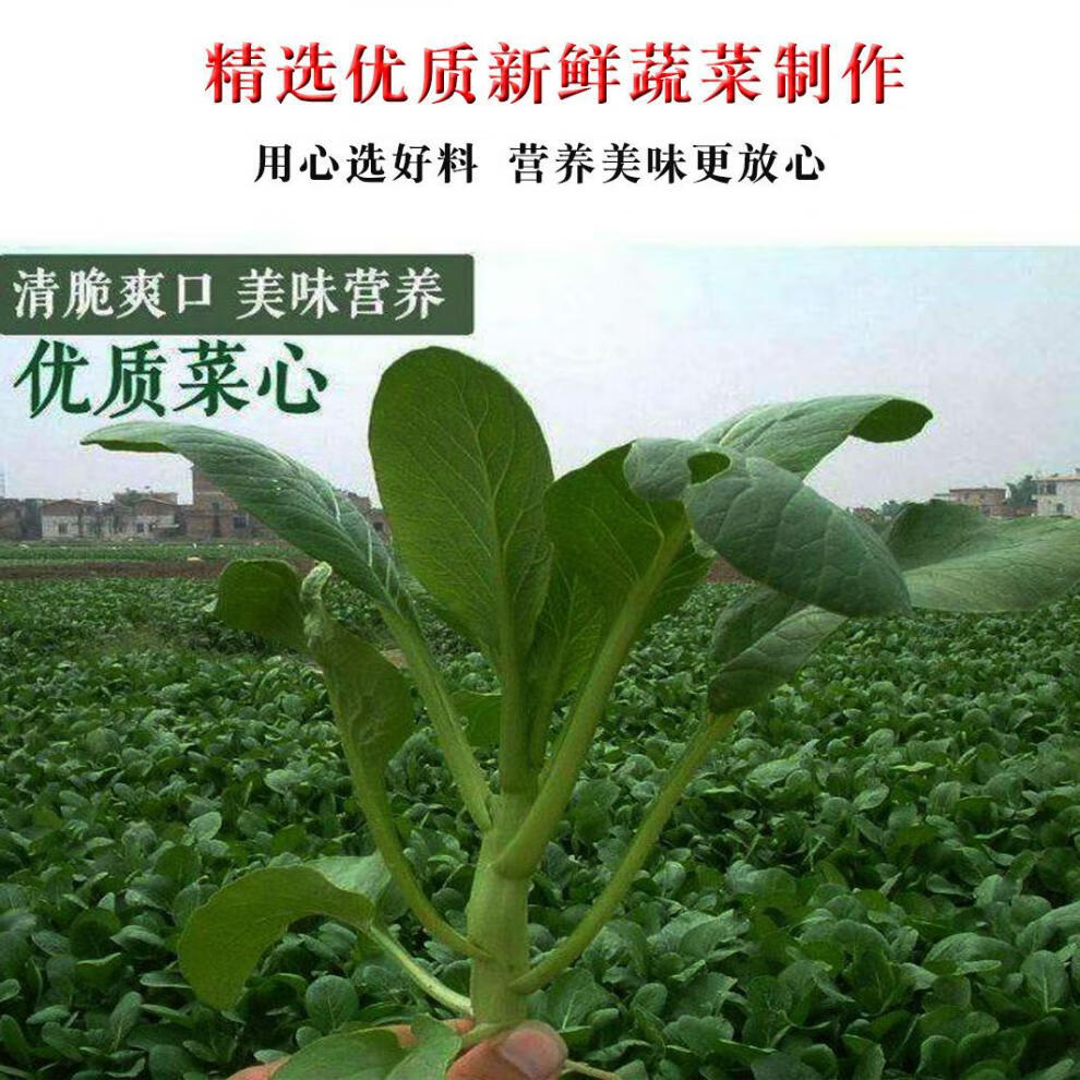 万年青农家特产凉拌青菜干嫩菜芯脱水蔬菜干青梗油菜干菜当季万年青