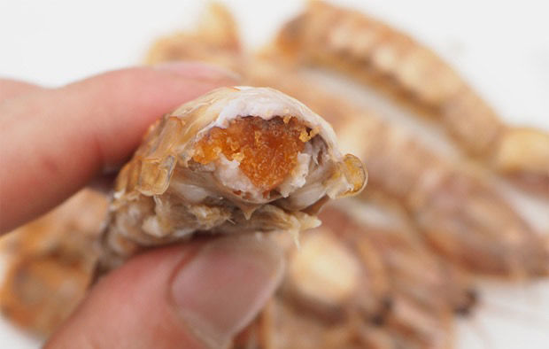 公母带膏大号皮皮虾熟冻虾婆水产青封铭大母皮皮虾一斤