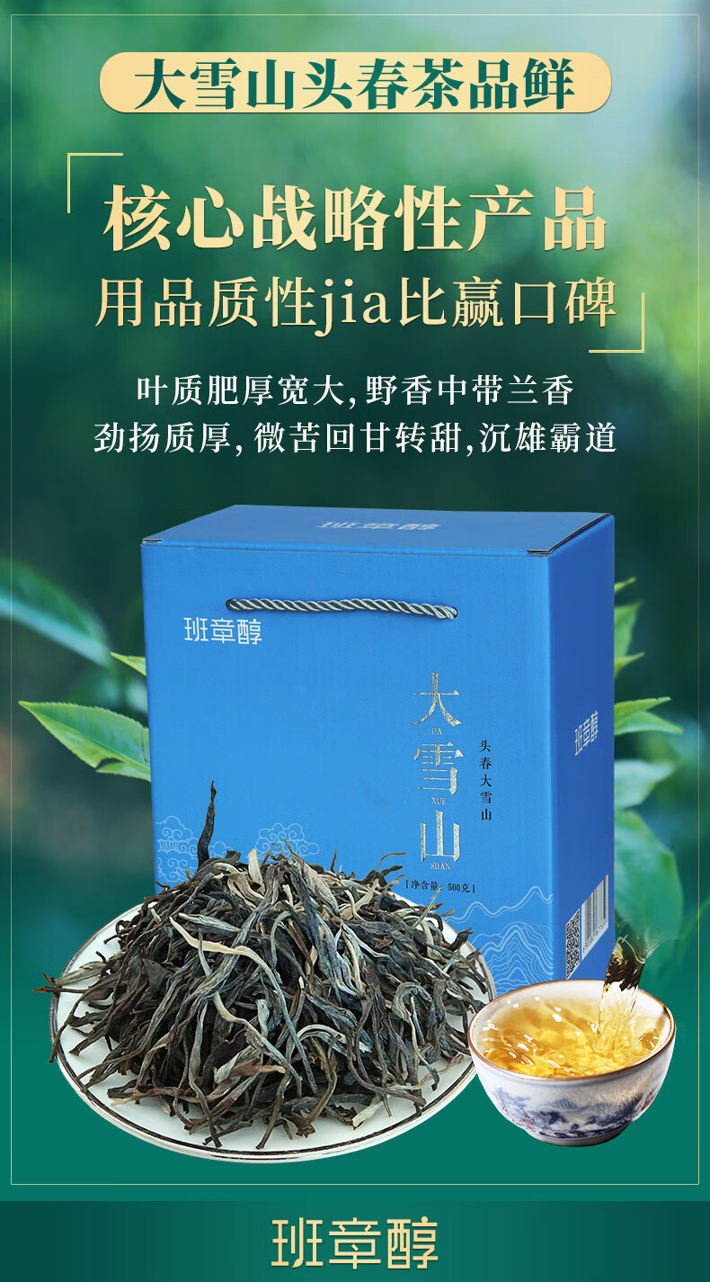 云南临沧大雪山普耳茶生茶散茶头春古树茶1000g散装生普茶叶回甘