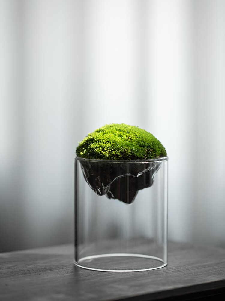 禅意小苔藓观山礼品植物绿植微景观盆栽趣味桌面摆件耐养云山大苔藓带