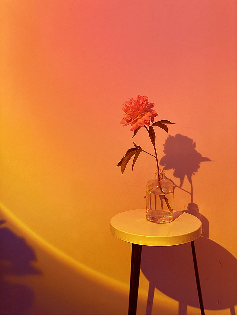 网红落日灯夕阳日不落拍照ins直播投影白色落地灯破晓氛围日落灯 台灯