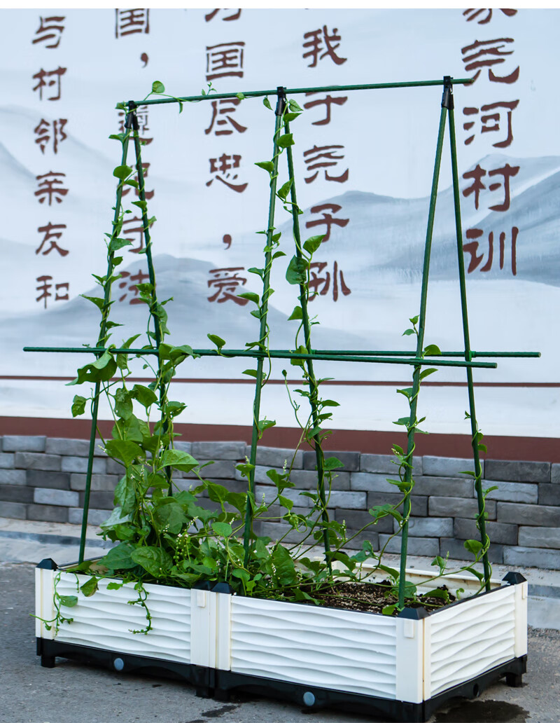种菜的丝瓜豆角架子菜园蔬菜爬藤架网植物攀爬支架杆种菜丝瓜黄瓜豆角