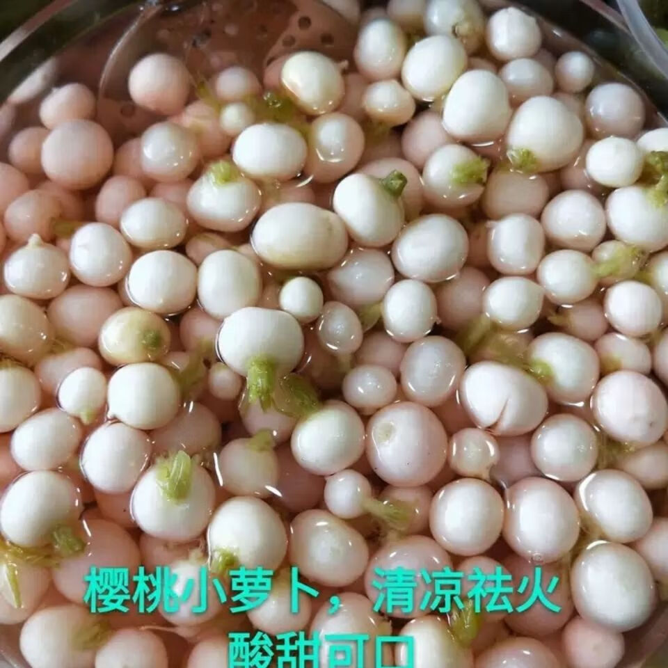 云南特产水泡萝卜 樱桃小萝卜 迷你小萝卜 泡酸萝卜腌制泡菜 含水1.