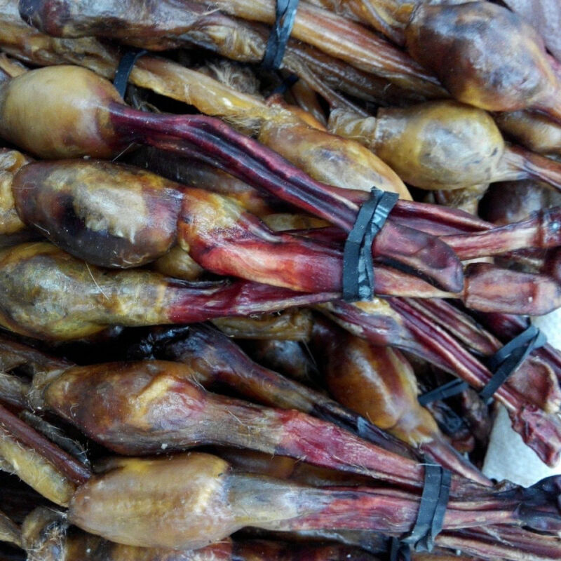 黄狗鞭黄狗肾泡酒鞭新鲜干鞭狗泡酒料狗中药材鞭滋补鞭泡酒黄狗鞭59克