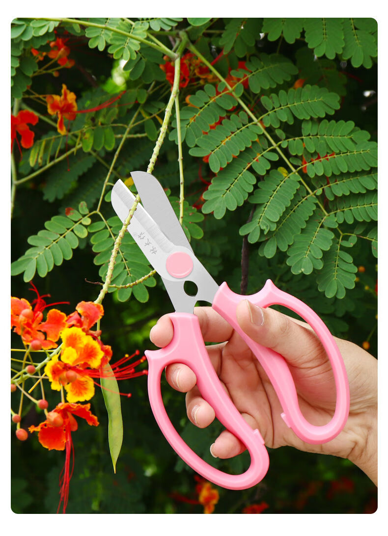 园艺花艺专用剪刀插花多功能宽头家用修花剪花店修花修枝剪子好货定制