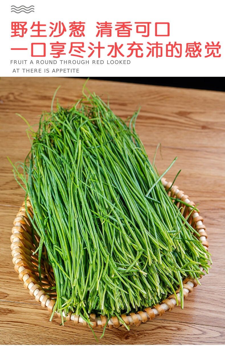 沙葱新鲜甘肃民勤特产现摘新鲜蔬菜农家自种小葱民勤沙葱5斤 1500g