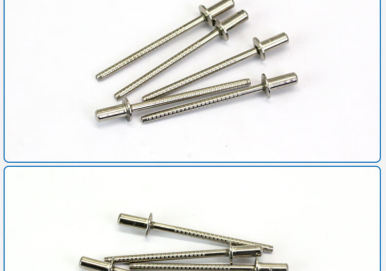不锈钢封闭型扁圆头抽芯铆钉gb12615水铆钉m3.2m4m4.8圆头抽芯 3.