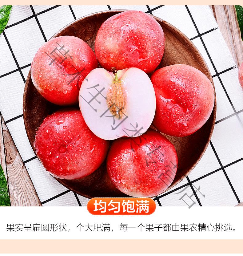 青樱红荔澳洲油桃桃驳李新鲜水果脆桃子蜜桃7斤