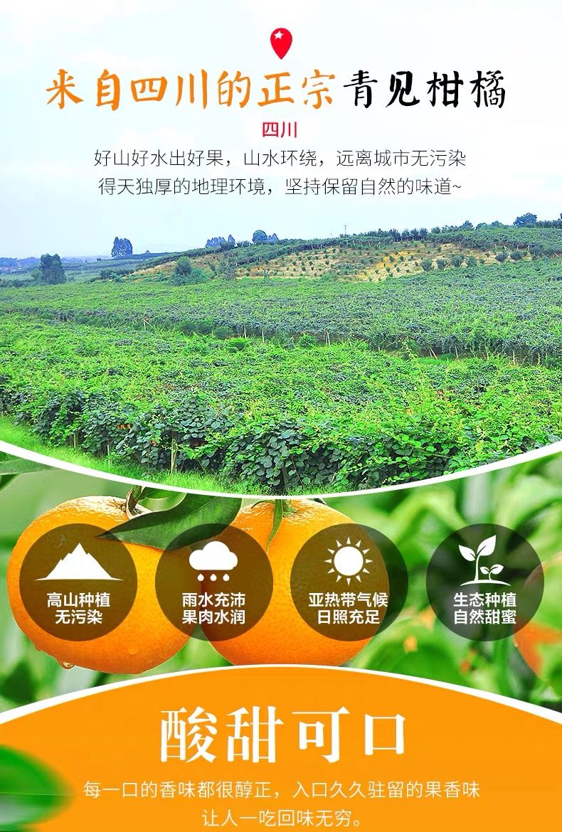 5送5】四川青见柑橘果冻橙丑橘水果新鲜橘子整箱批发更多参数>>原产地