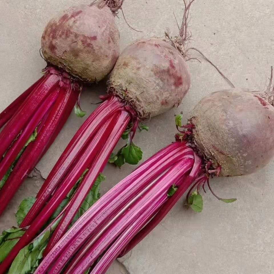 新鲜甜菜头甜菜根甜菜萝卜卡通包蔬菜面红菜头汤10斤装10斤大果