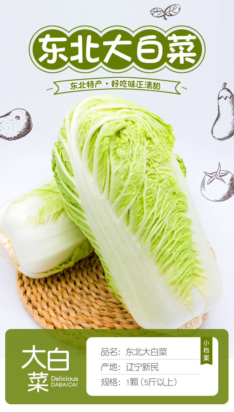 东北大白菜新鲜蔬菜农家菜黄心鲜嫩小白菜5斤现摘青菜整颗白菜g2500g